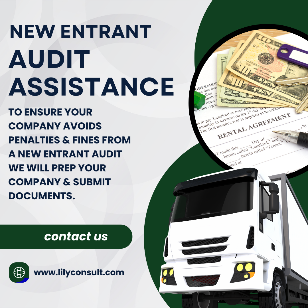 NEW ENTRANT AUDIT ASSISTANCE