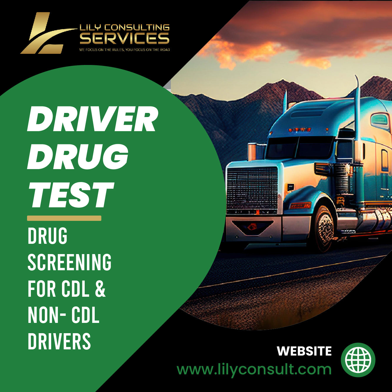 DRIVER DRUG TEST